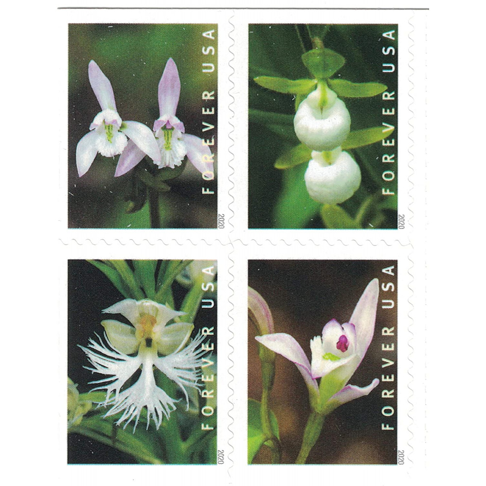 (2020) USPS Wild Orchids Forever Postage Stamps